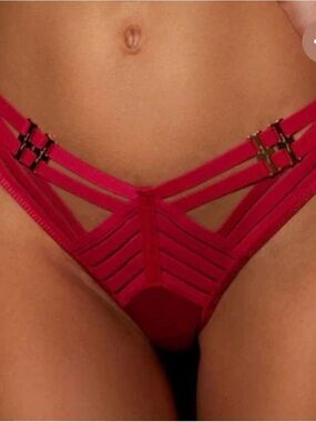 Honey Birdette Red Linda C raspberry Strappy Bikini Panty